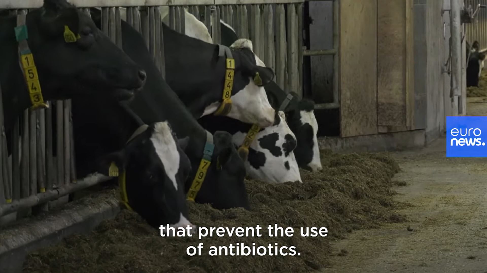 Euronews-Case-Studies_Euronews-x-Farm-to-fork